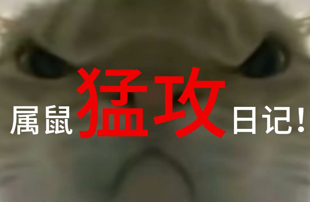 猛龙禁区防守强硬，对手难以突破