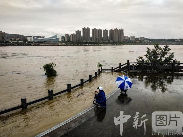 关于陕西汉江队在场上打出了出众的团队表现的信息