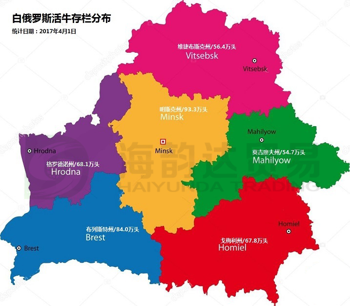 九游娱乐-比利时与白俄罗斯互交白卷,仍获小组领先的简单介绍