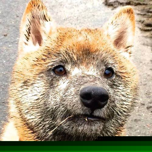 铁幕降临盐湖城，当太阳的防守艺术，冻结了爵士的狂想曲