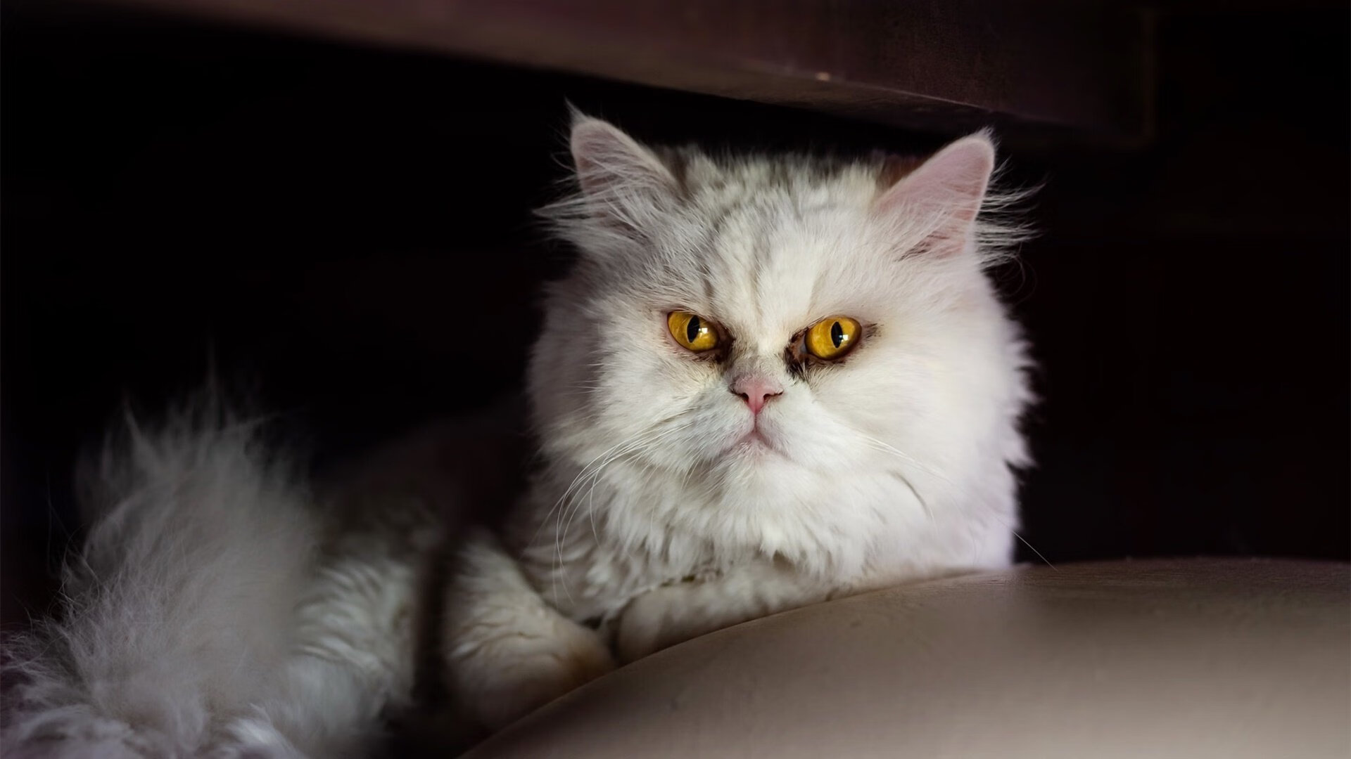 当桑巴舞步碾过机械军团，内马尔的艺术足球与葡萄牙式压迫美学的胜利