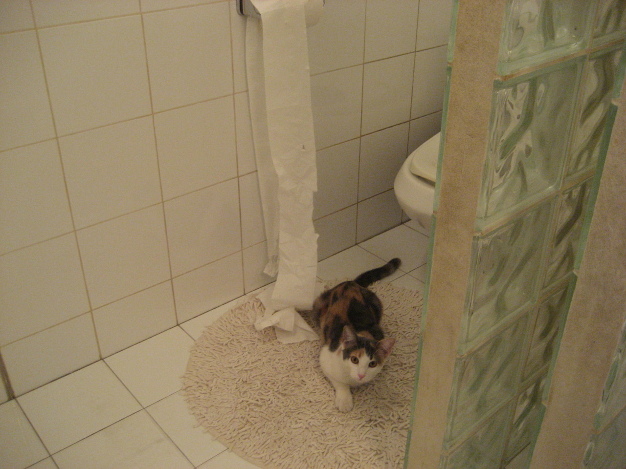 活塞打穿奇才，西亚卡姆2026世界杯接管比赛，篮球世界的双重风暴