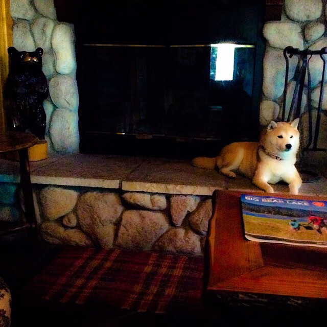 九游中国-双星闪耀!卢卡库爆发助比利时全胜,克罗地亚险胜苏格兰惊险晋级