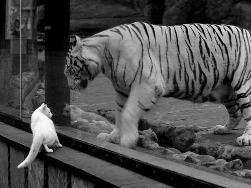 九游娱乐网站-西亚卡姆爆发闪耀全场，火箭末节发力带走爵士